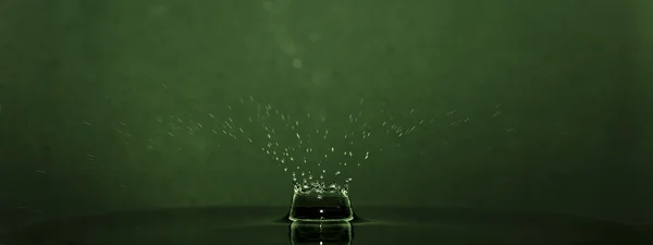 Droppe vatten på grön bakgrund — Stockfoto