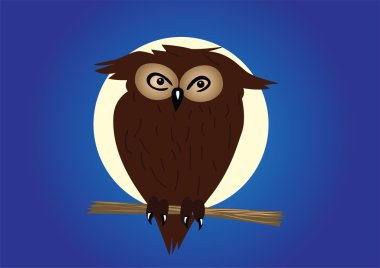 Kartal-baykuş gece dal üzerinde.
