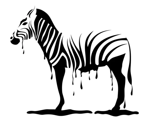 Zebra erime — Stok Vektör