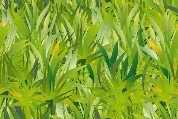 Gras nahtloser Hintergrund — Stockvektor
