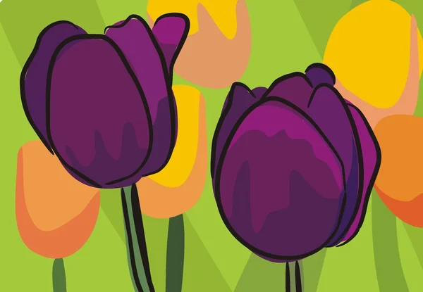 Тюльпани — стоковий вектор