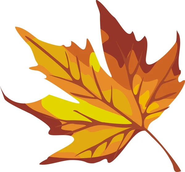 Jesienny liść izolowany na białym — Wektor stockowy