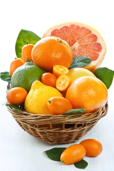 柑橘. — 图库照片