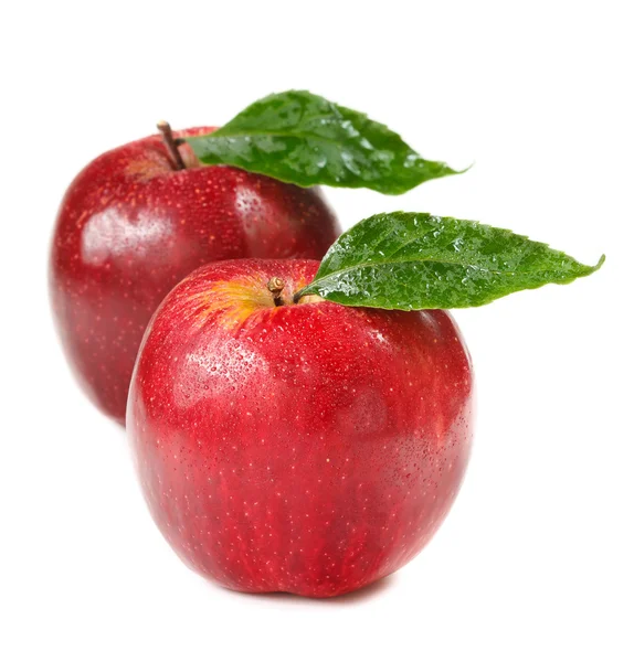 Two apples after rain. — Stock Photo, Image