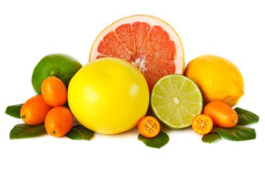 Citrus fruit. clipart