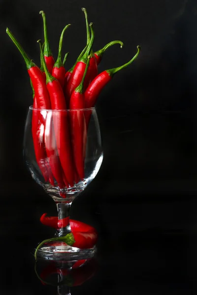 Rode hot chili. — Stockfoto