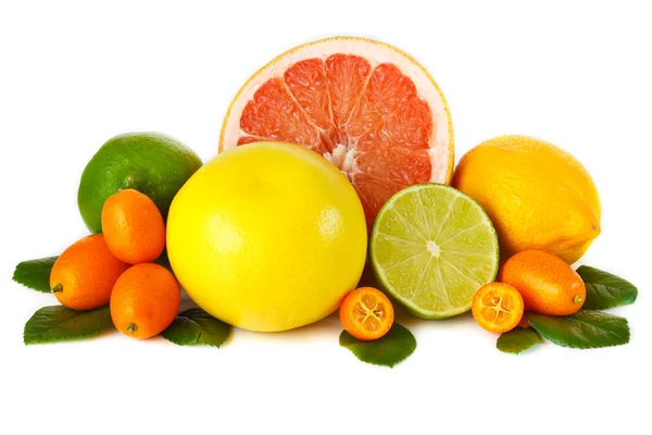 Citrus fruit. — Stock Photo, Image