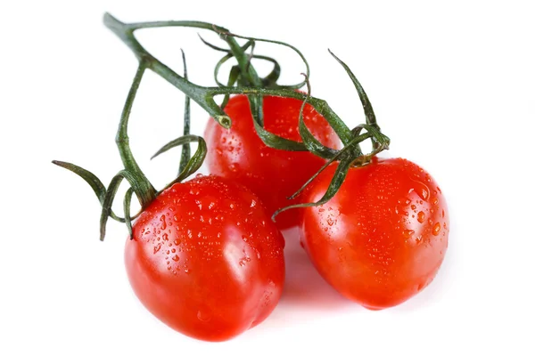 Wiśniowe pomidory. — Zdjęcie stockowe