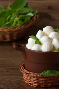 İtalyan mozzarella peyniri.