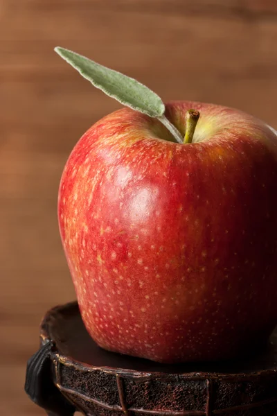 Velké jablko. — Stock fotografie
