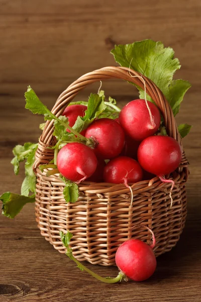 Garden radishes. — Stock Photo, Image