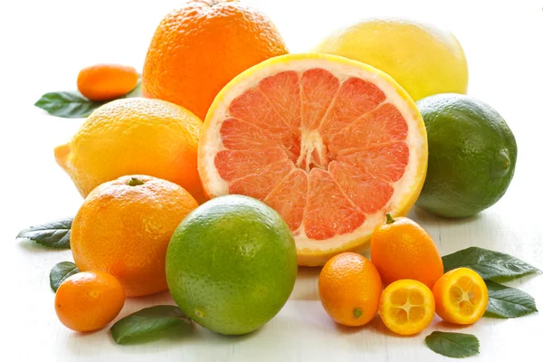 Citrusfrukter. — Stockfoto