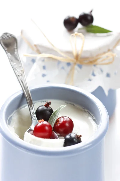 Primo piano sullo yogurt . — Foto Stock