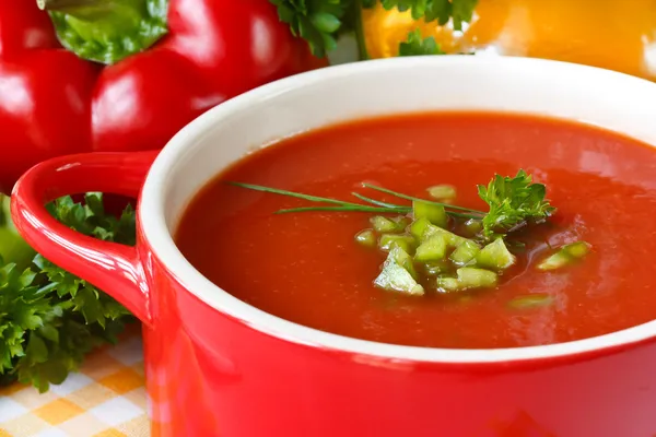 Zuppa di pomodoro . — Foto Stock