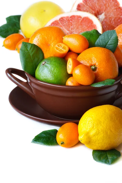柑橘类水果. — 图库照片