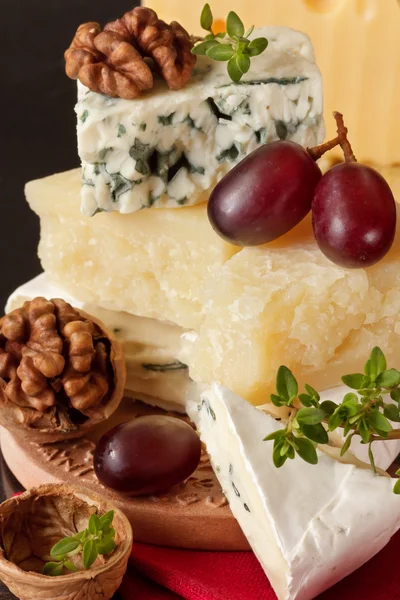 Tasty cheeses. — Stock Photo, Image