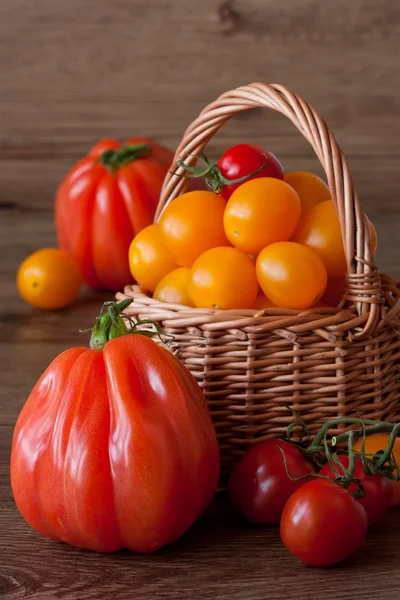 Tomater. — Stockfoto