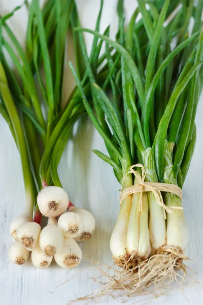 Young onion and garlic. — Stock Photo, Image