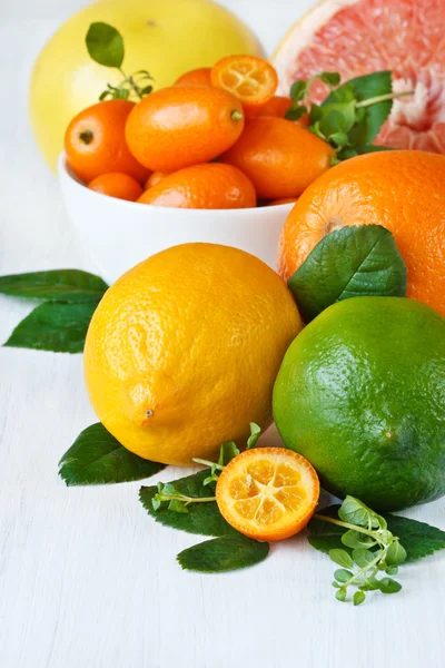 Assortment citrus fruit.. — Stock Photo, Image