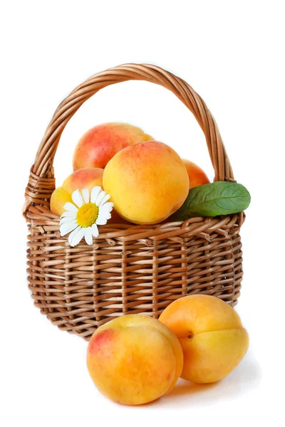 Apricot. — Stock Photo, Image