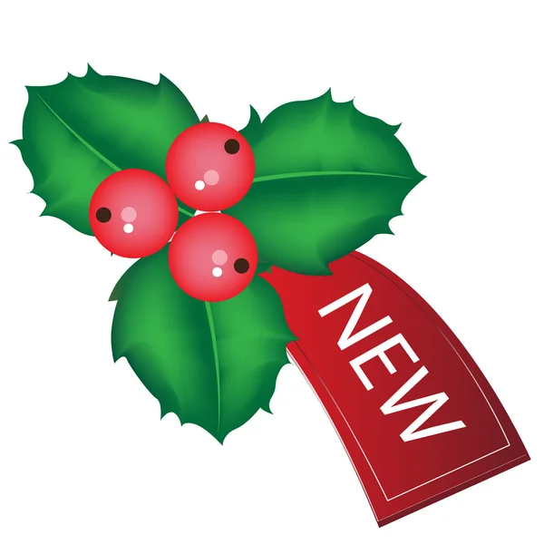 Christmas sale tag with mistletoe — Stock Vector