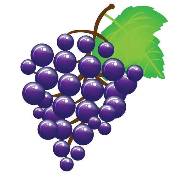 Buch winogron — Wektor stockowy