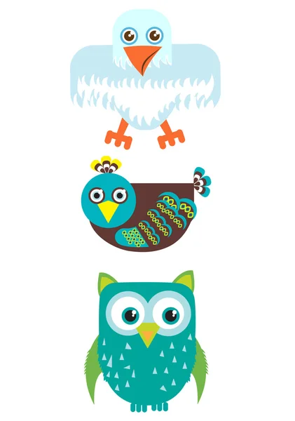 Three types of birds — Stock Vector