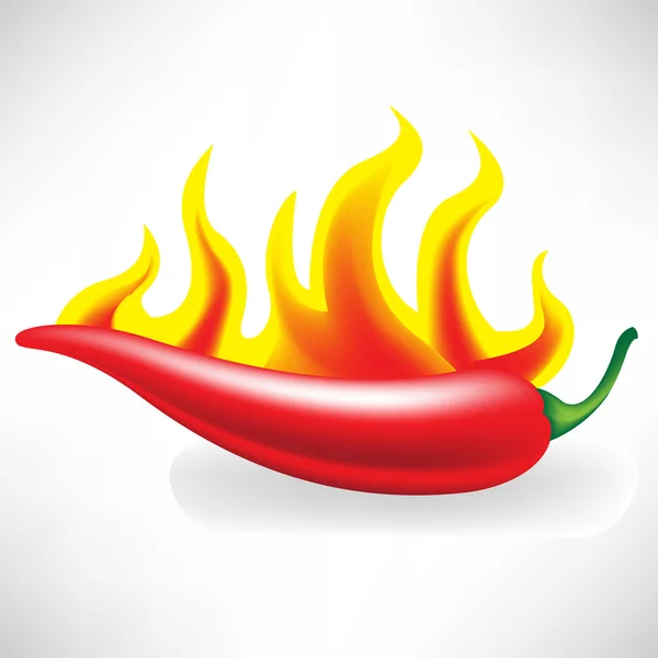 Hot pepper in flames — Stock Vector