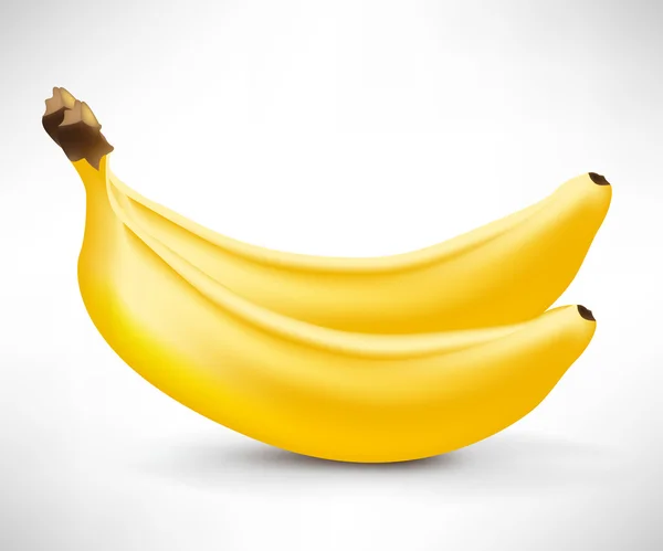 Två bananer — Stock vektor