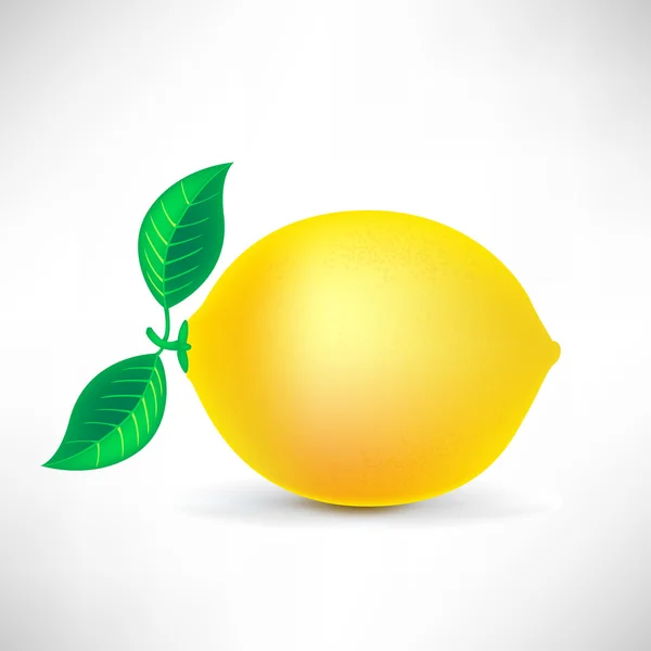 Лимон — стоковый вектор