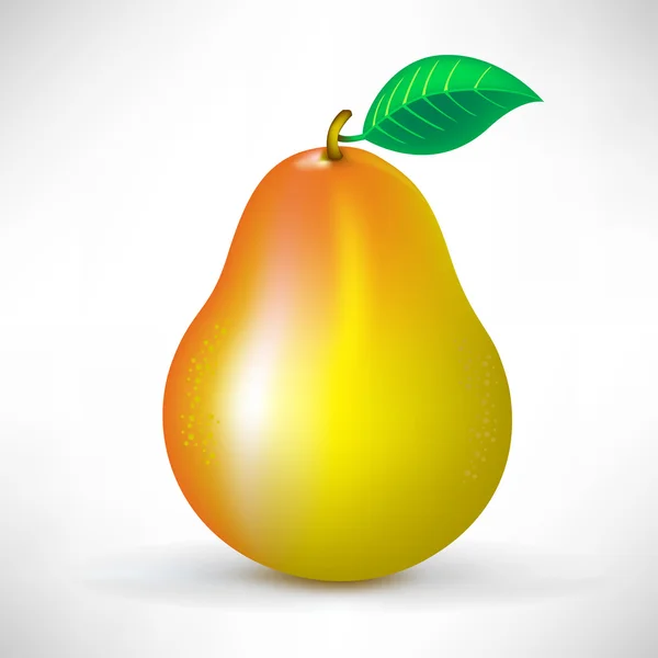Pear — Stock Vector
