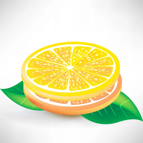 Скибочками лимона — стоковий вектор