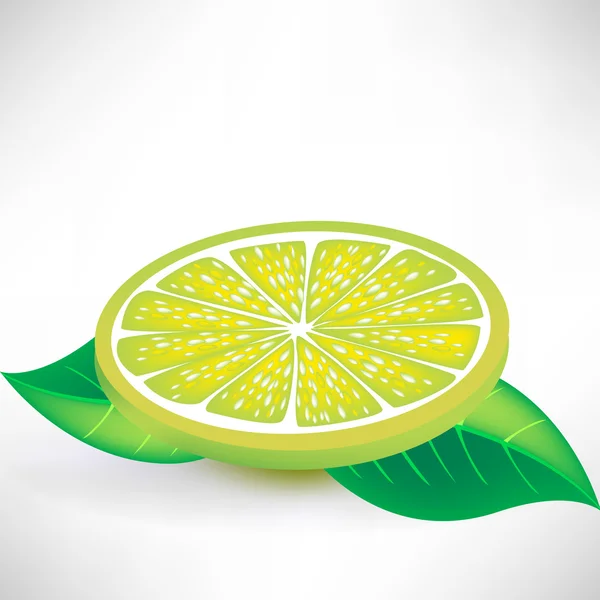 Limoen schijfje — Stockvector