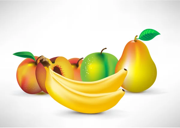 Fruit regeling — Stockvector