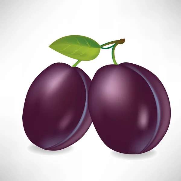 Deux prunes — Image vectorielle