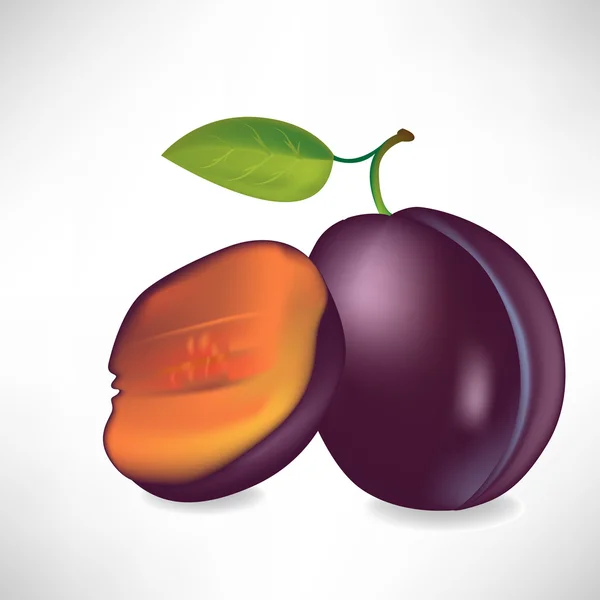 Prune et moitié de prune — Image vectorielle