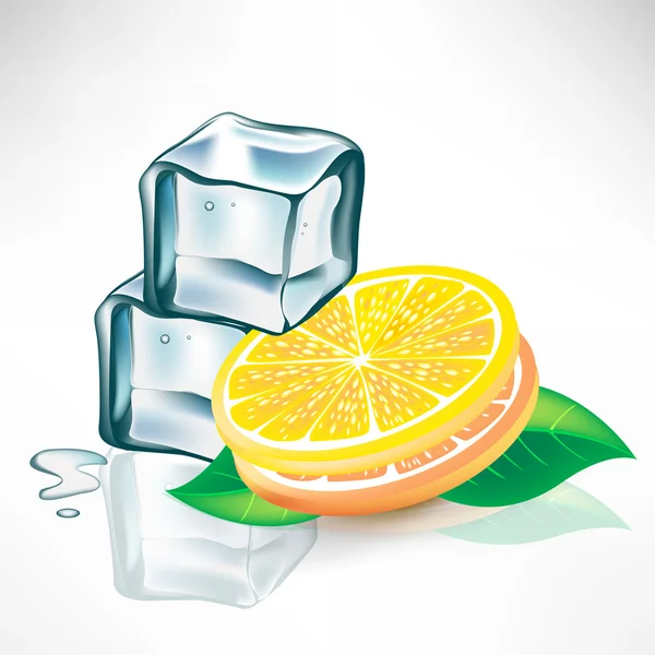 Twee ijsblokjes en citroen segmenten met munt — Stockvector