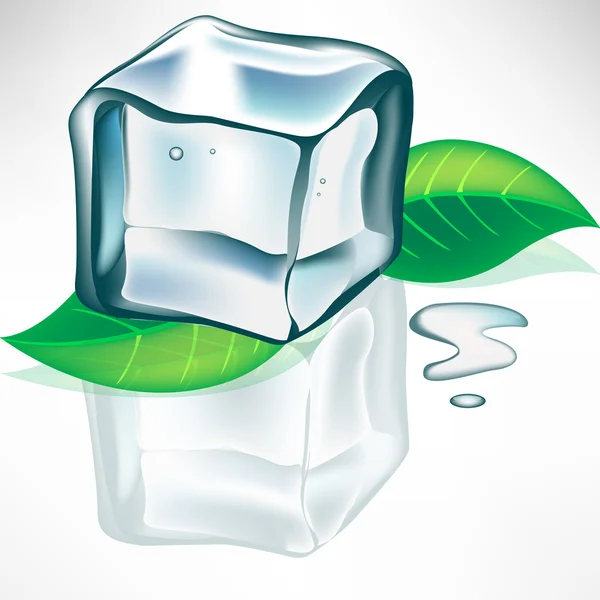 Sciogliere il cubetto di ghiaccio con foglie di menta — Vettoriale Stock