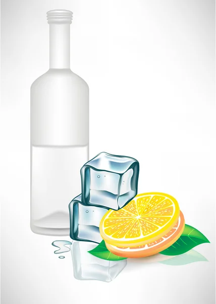 Cam şişe buz ve limon ile — Stok Vektör