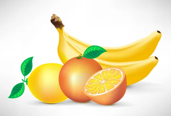 Groep van bananen, sinaasappelen en citroen — Stockvector