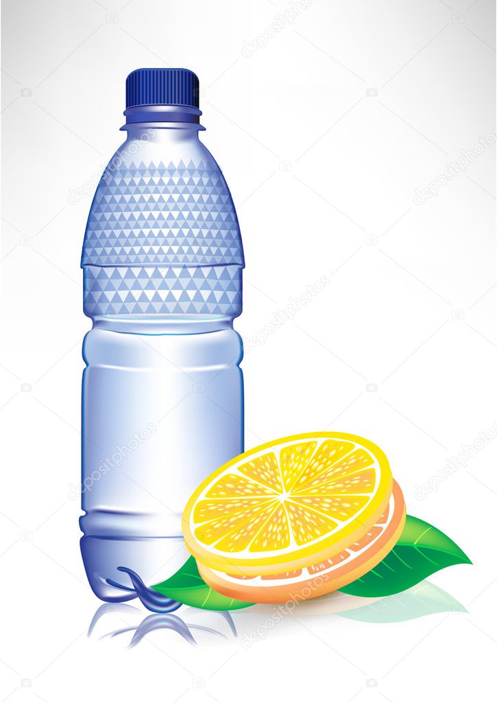plastic water bottle with lemon slices and mint