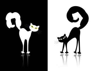 siyah ve beyaz kediler