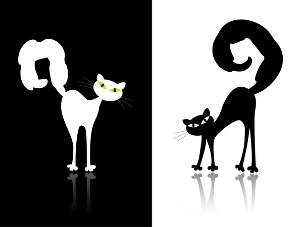 Black and white cats — Stock Vector