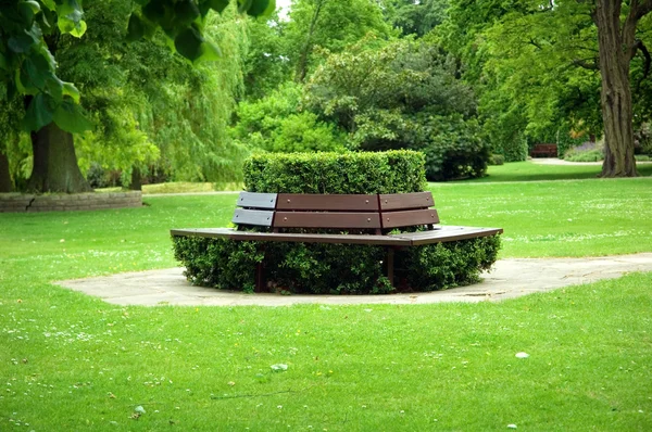 stock image Bench in the park