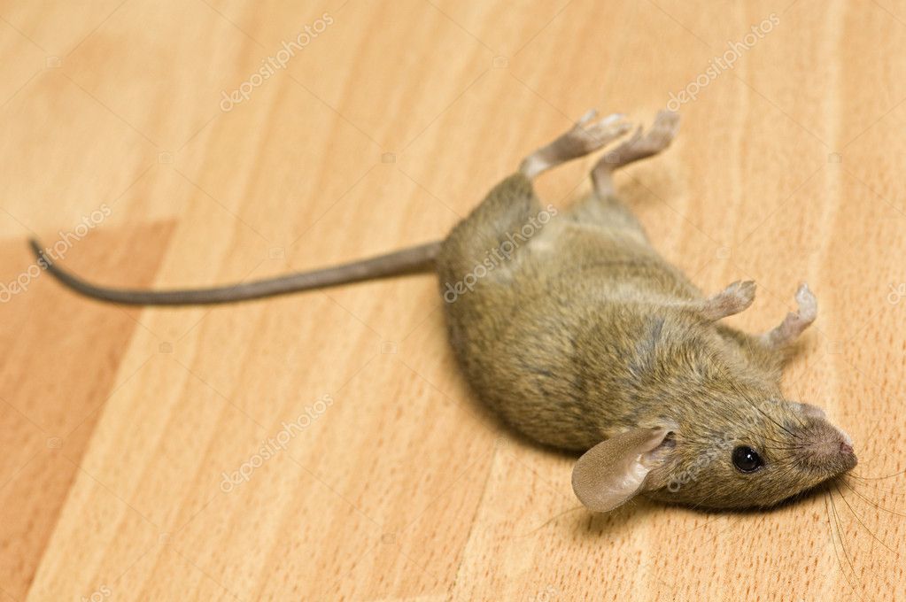 dead space mouse fix mod