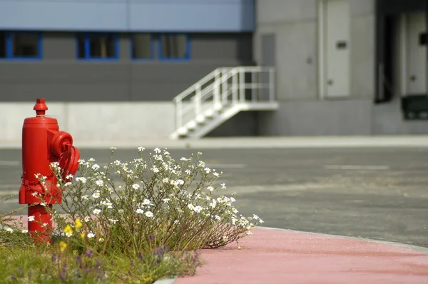 stock image Fire Hydrant