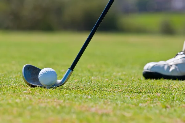 Golfa w pole golfowe — Zdjęcie stockowe