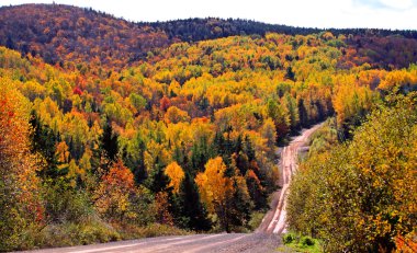 Autumn woods dirt road clipart
