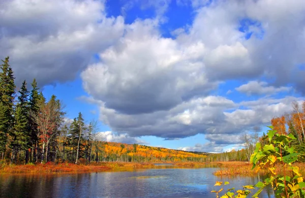 Lago bosque otoño — Foto de Stock