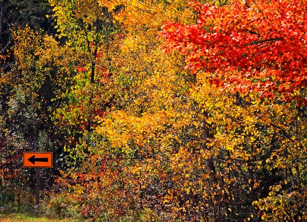 Señal de flecha camino otoño — Foto de Stock